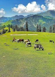 Manshi Top Attractions Things to do in Mansehra
